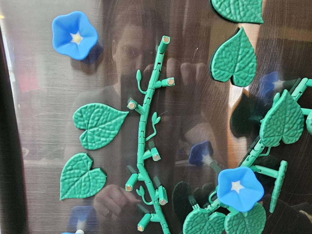 Morning Glory Magnet Set