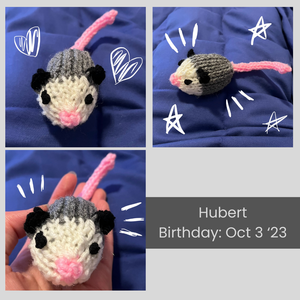 A collage of images of Hubert the little knitted opossum. He has a white face, a pink nose, and a pink tail. His body is gray, and his ears are black. He is very simply made: no limbs. His birthday is October 3, 2023.