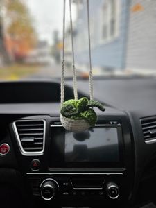 White pot with 3 tones of green leaves
