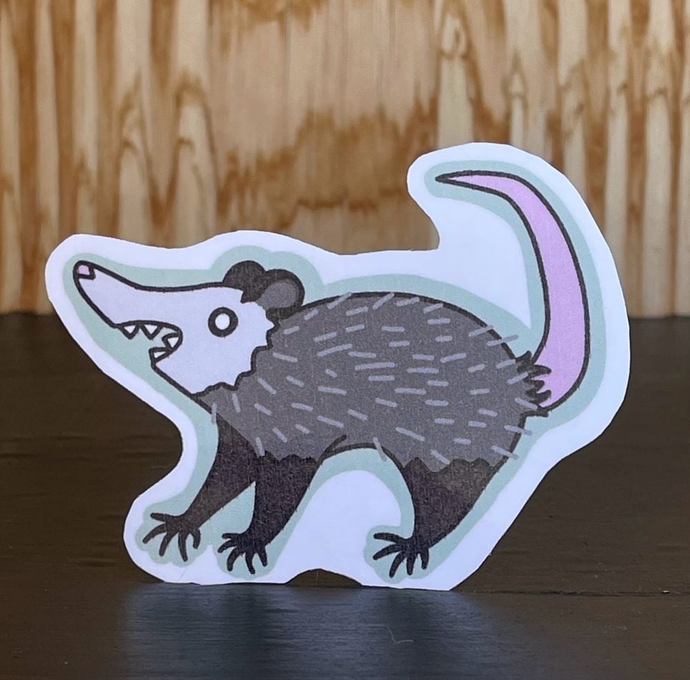 Yelling Opossum Sticker