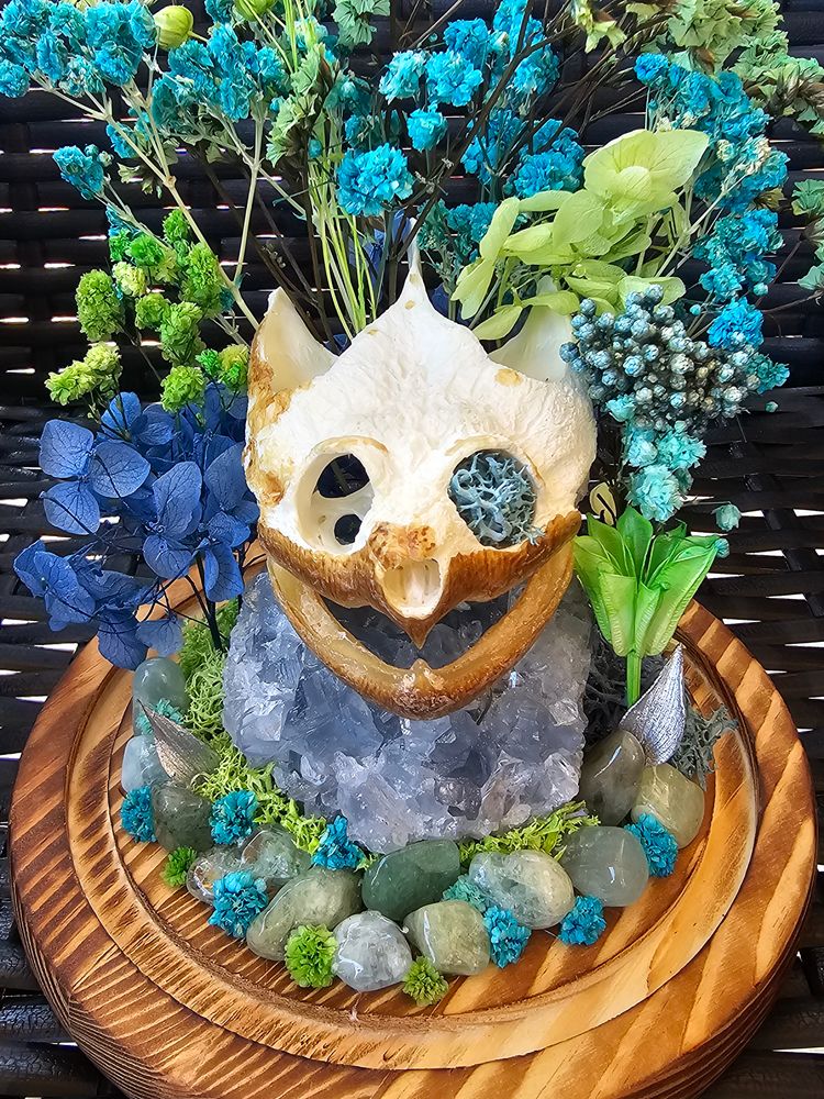 Chelydra Serpentina Snapping Turtle Cloche🐢