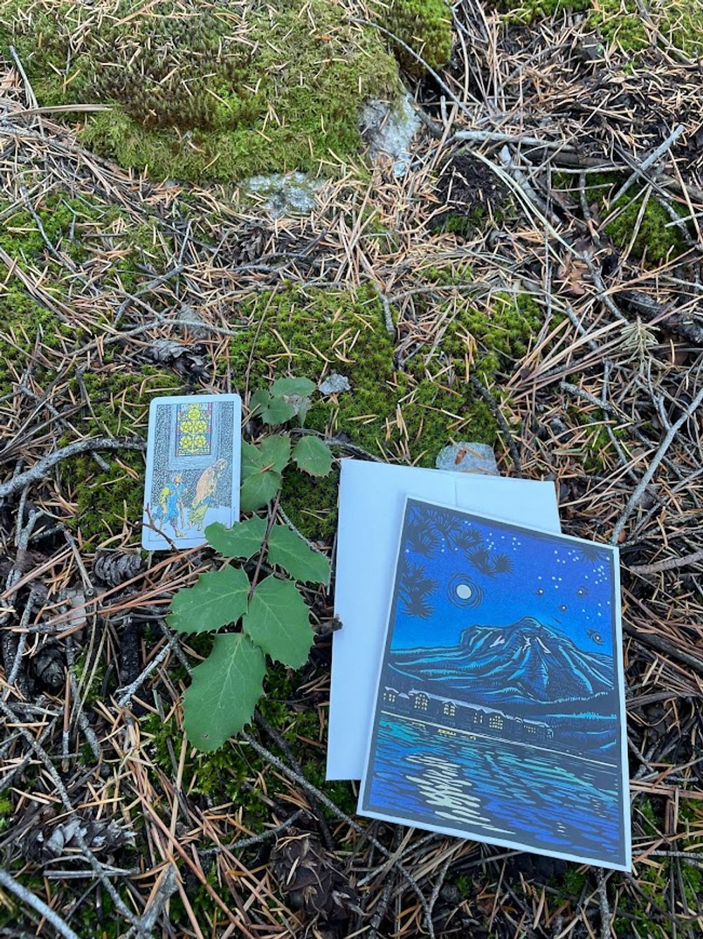 Snail Mail Tarot Reading 