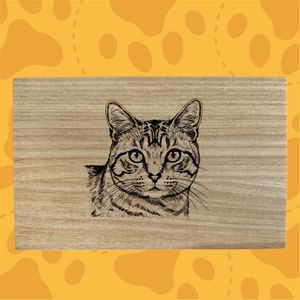 images Traced, converted to black and white, find edge filter, poster edges layered on photoshop