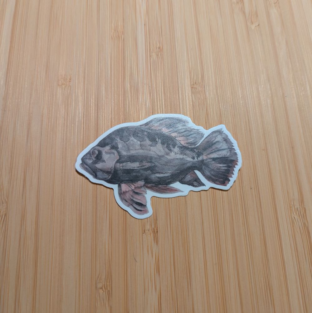 Fish Sticker
