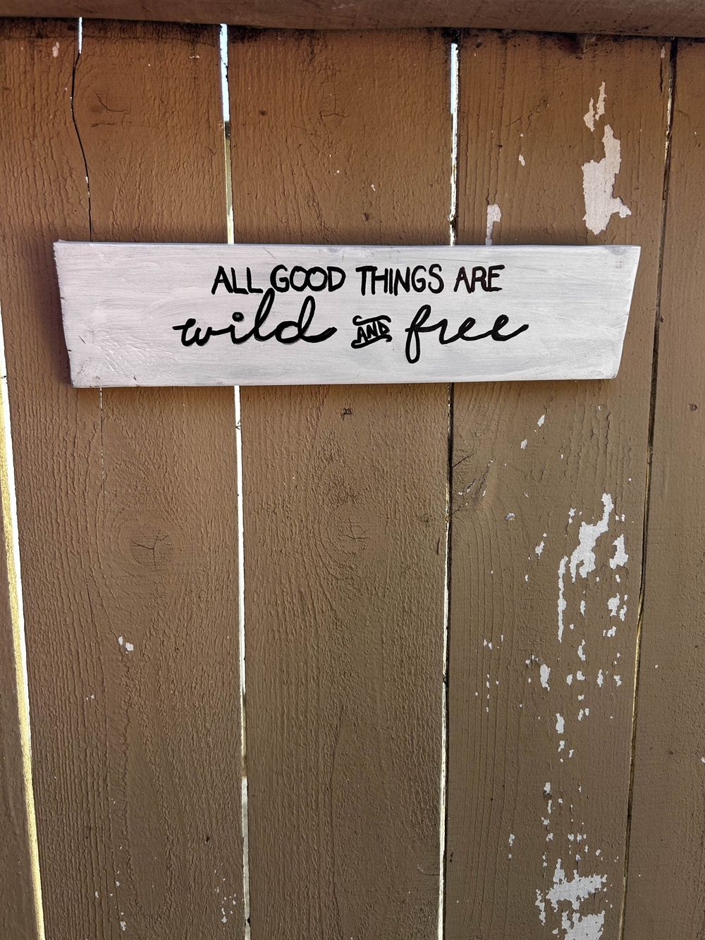 All Good Things Are Wild & Free 