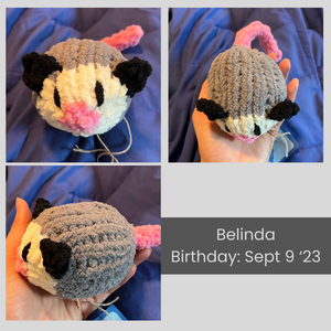 A collage of images of Belinda the fuzzy mini opossum. Her birthday is September 9 2023.