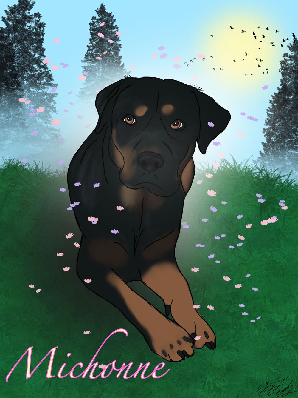 Pet portraits!