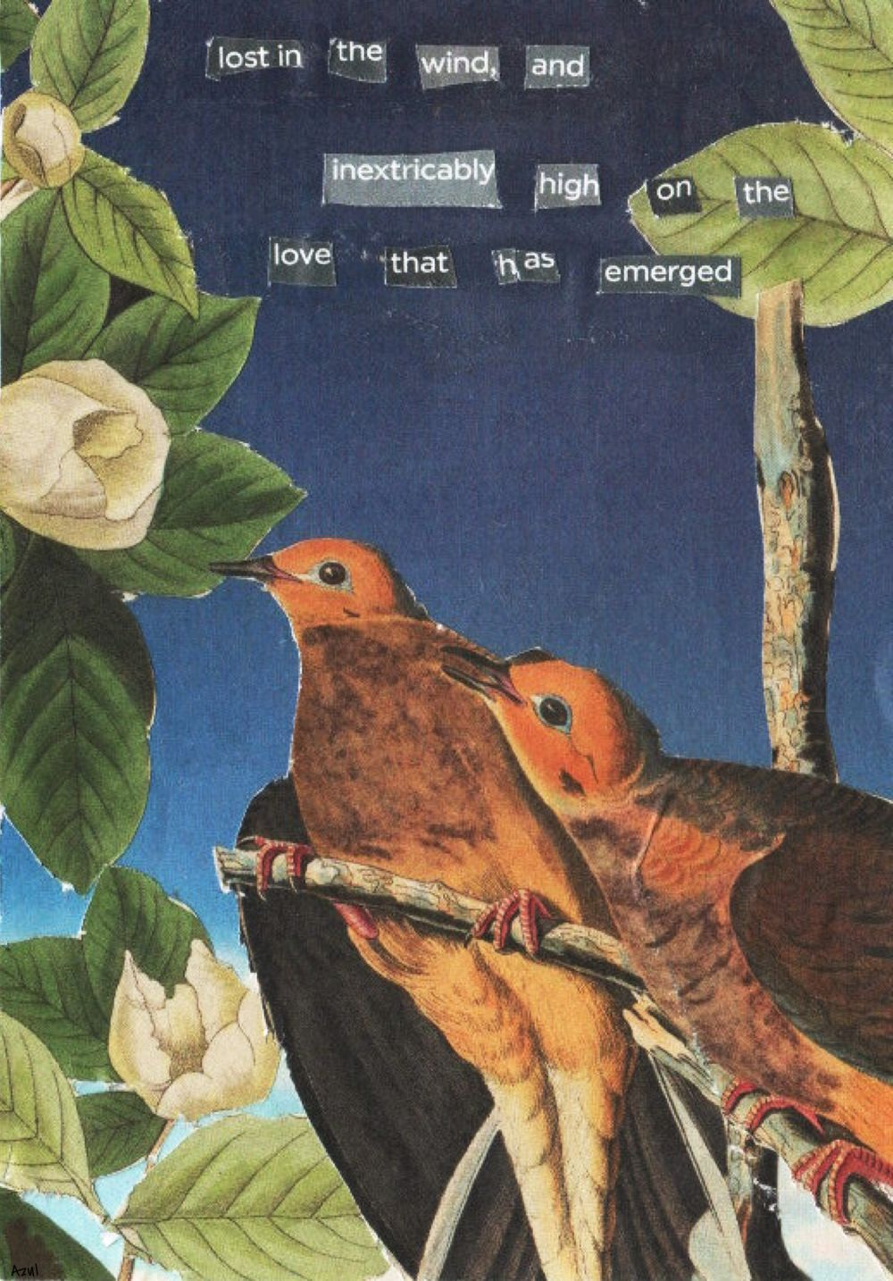 Life’s Changes Pt 1