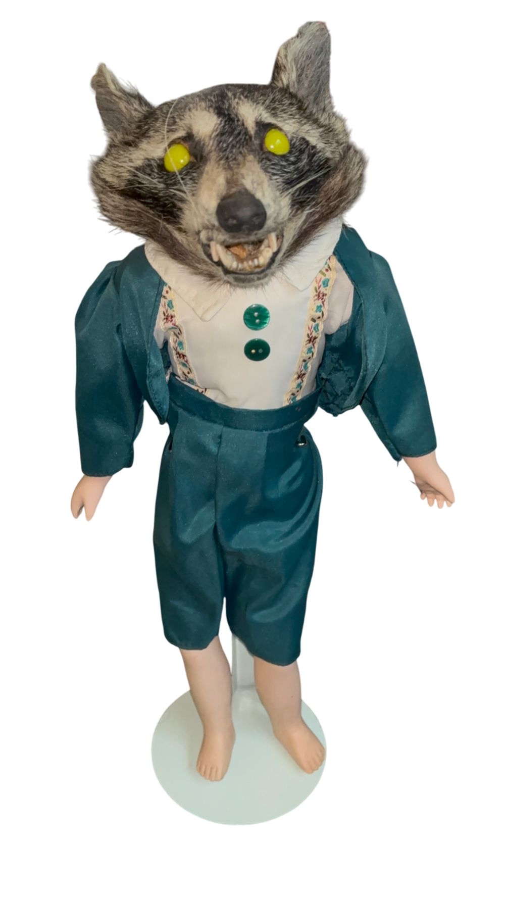 Raccoon 🦝 Dapper Dan