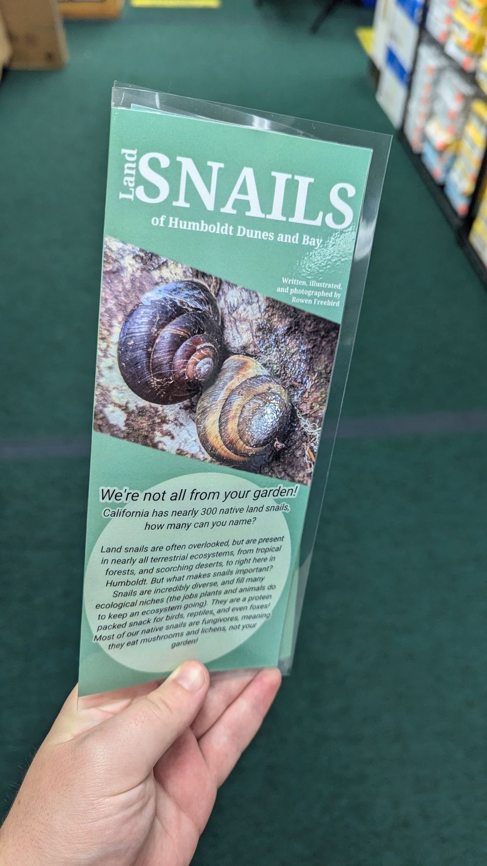 Land Snails of Humboldt Bay and Dunes Tri-fold Pocket Guide