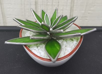 Green Succulent Side View