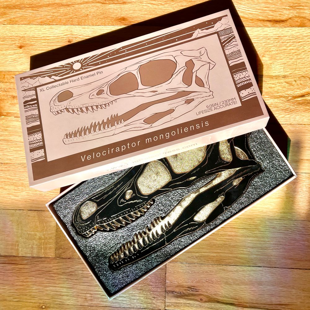 Lifesize Velociraptor Skull Hard Enamel Pin