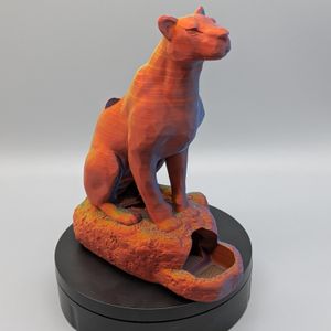 One side, showing the gradient change of the filament.