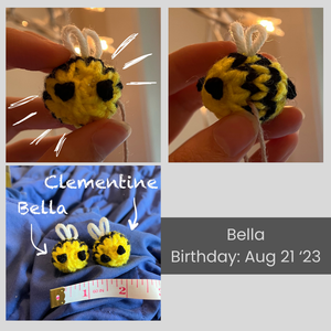 A collage of images of Bella the tiny bee