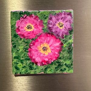 pink zinnias