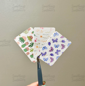 Cactus, Floral (white background), Butterflies