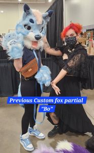 Previous Custom mini partial "Bo"