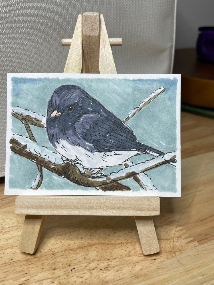 ACEO Winter Visitor Series Dark Eyed Junco