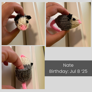A collage of images of Nate the knitted opossum. His birthday is July 8, 2025. Unlike Hubert, he has a pouch on his tummy.