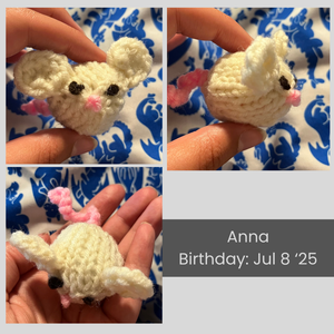 A collage of images of Anna the mouse. Her birthday is July 8, 2025