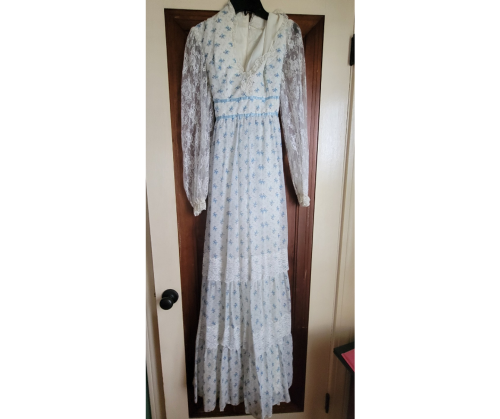 Vintage 1970 Blue White Cottage core dress