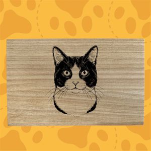 images Traced, converted to black and white, find edge filter, poster edges layered on photoshop