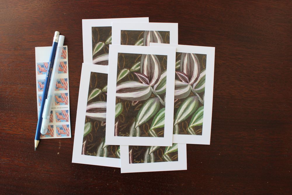 Tradescantia Postcard Print 