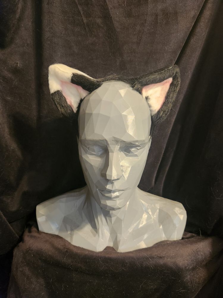 Canon Character Ears- Made To Order