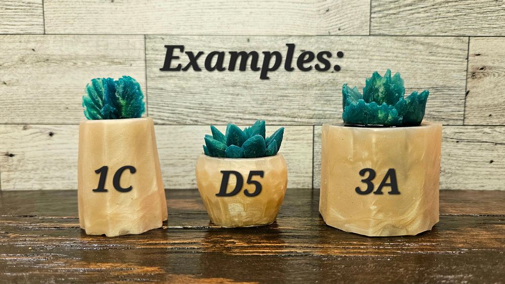 Stress Ball Succulent Mix and Match, Squishy Succulents, Sil...