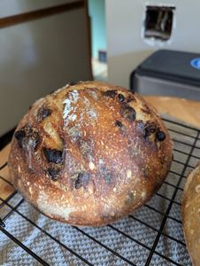 Chocolate chip sourdough 
