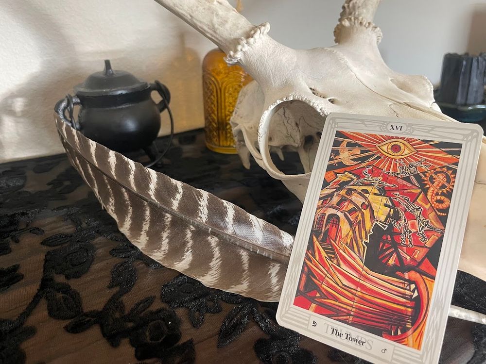 One Card Tarot Reading