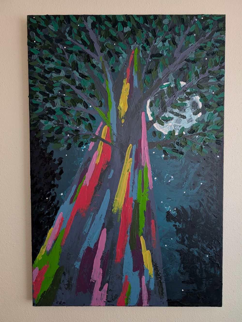 Rainbow Eucalyptus 