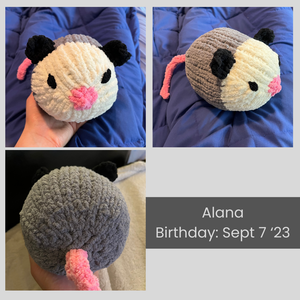A collage of images of Alana the fuzzy medium-sized opossum. Her birthday is September 7 2023.