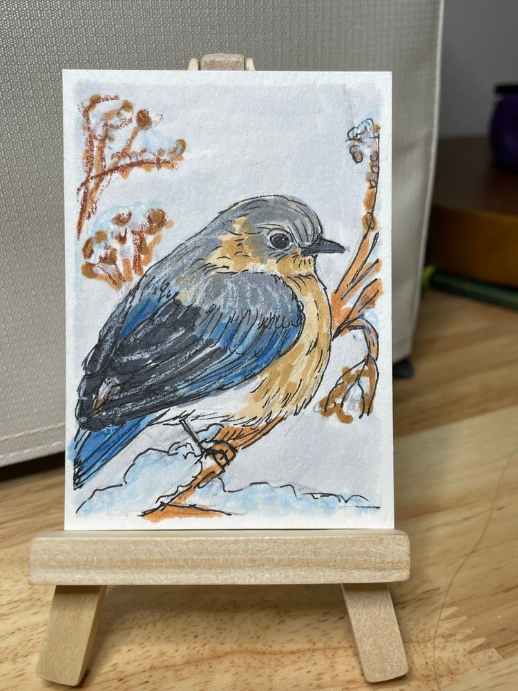 ACEO Winter Visitor Series Eastern Bluebird