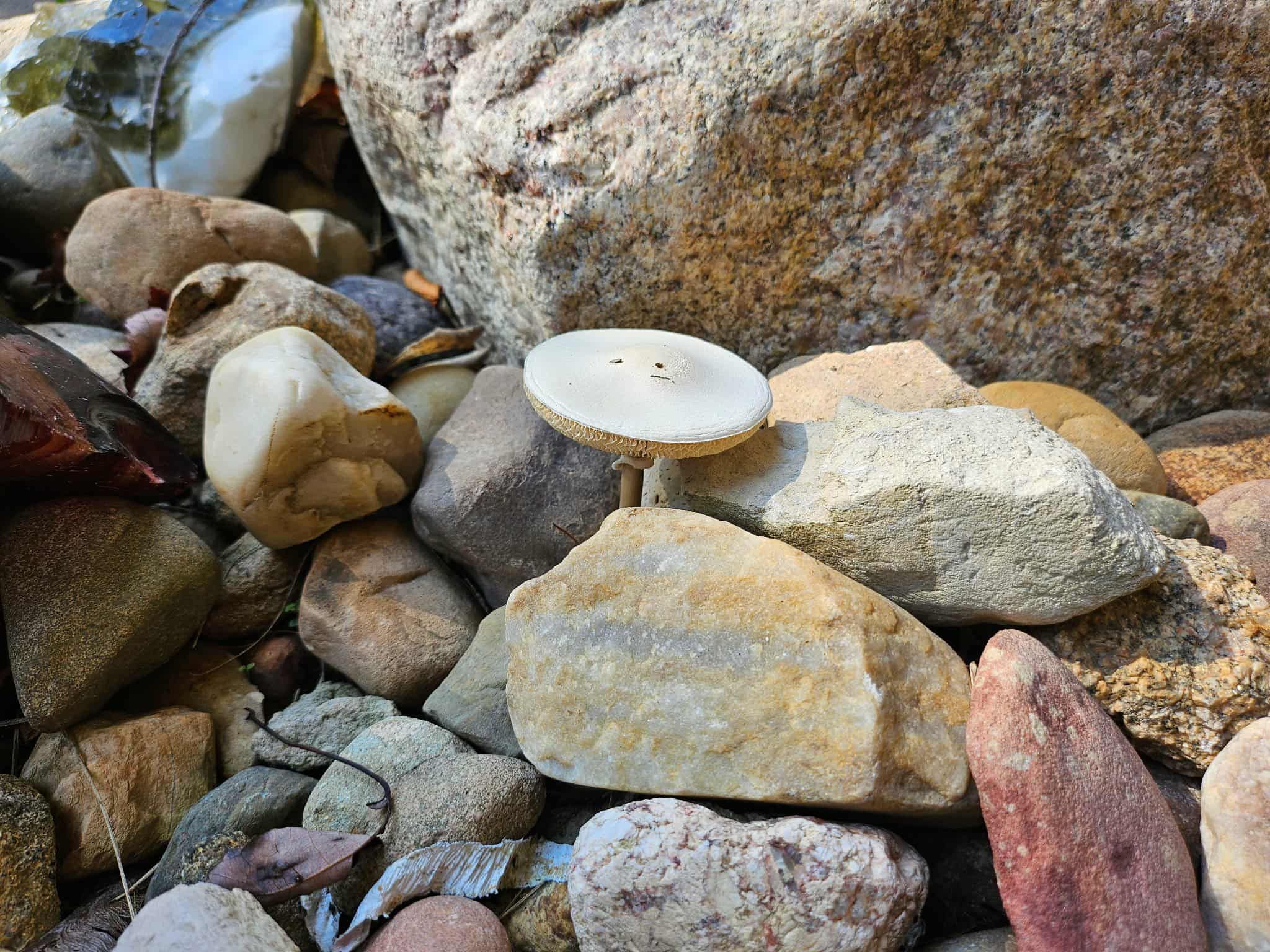 Beautiful Beginning ;)