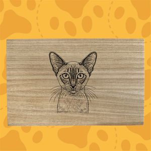 images Traced, converted to black and white, find edge filter, poster edges layered on photoshop