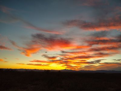 Raven's Hill Holistics: light