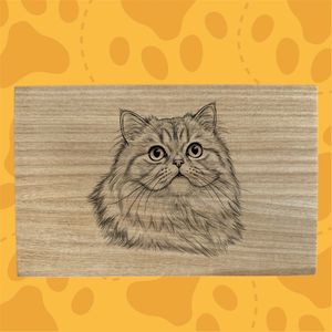 images Traced, converted to black and white, find edge filter, poster edges layered on photoshop