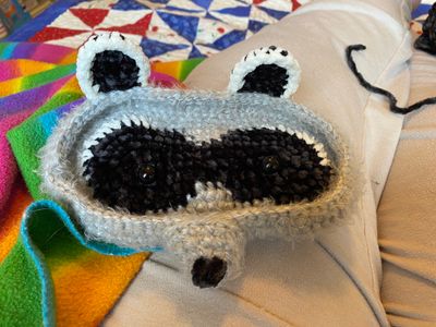 Raccoon Glasses Holder