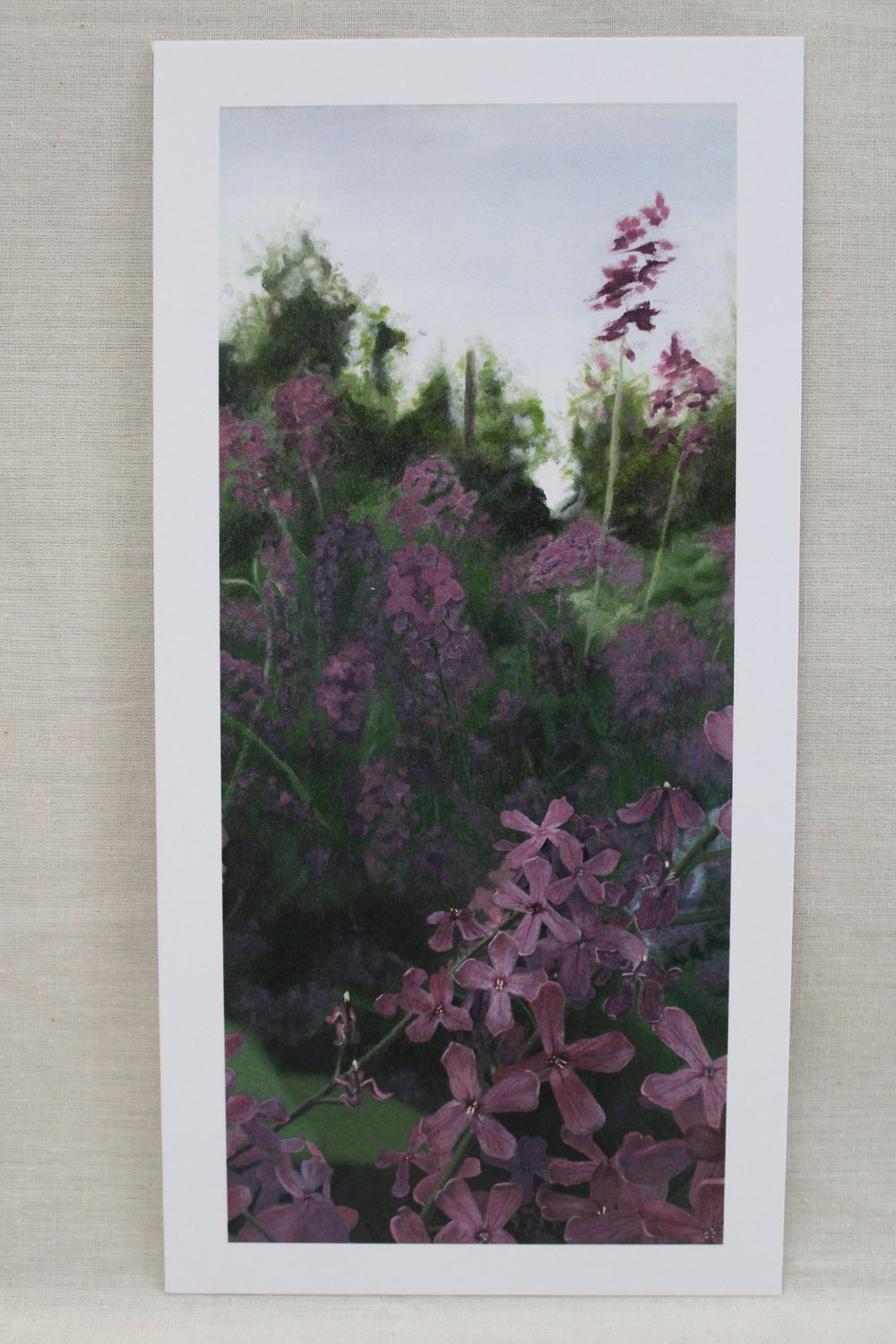 Dames Rocket Print 