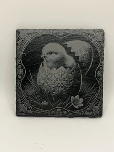 Chick Hatching