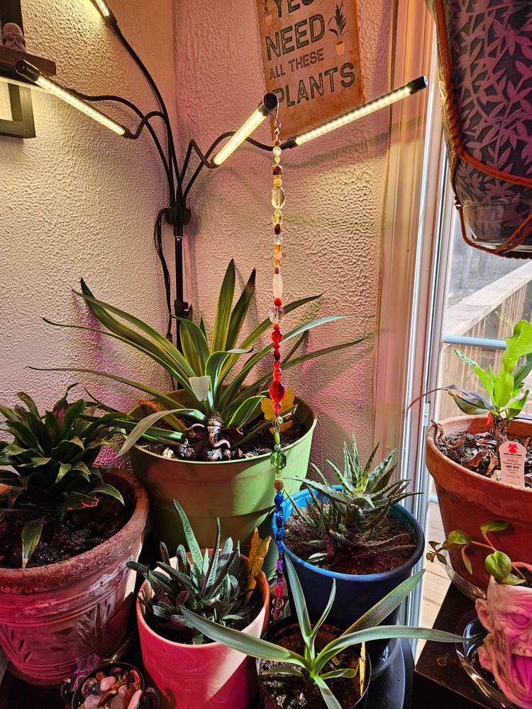 Funky Rainbow Suncatcher