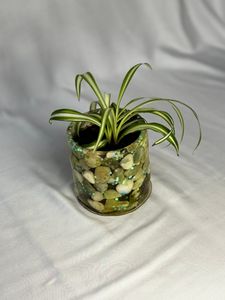 Jade stone/ green glitter 