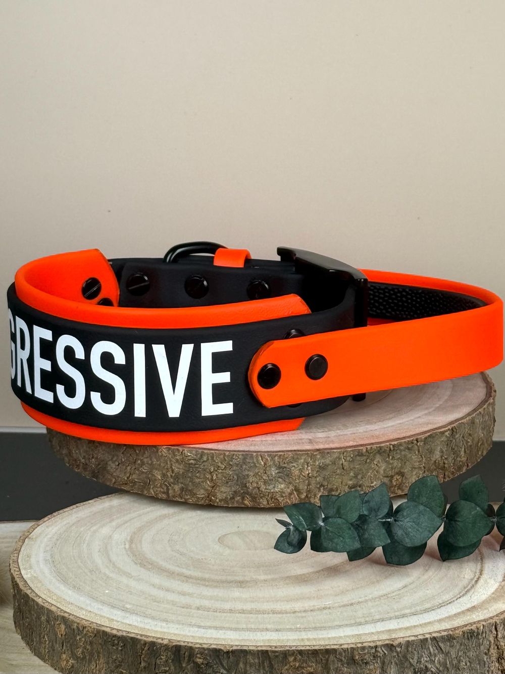 2-inch Custom Biothane Dog Collar with Handle | Double Layer, Waterproof