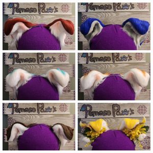 Examples of previous Puppy sets