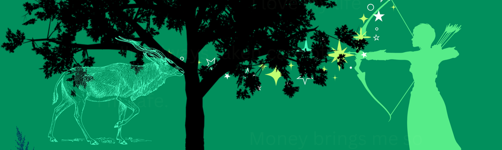 Wealth Visual Subliminal