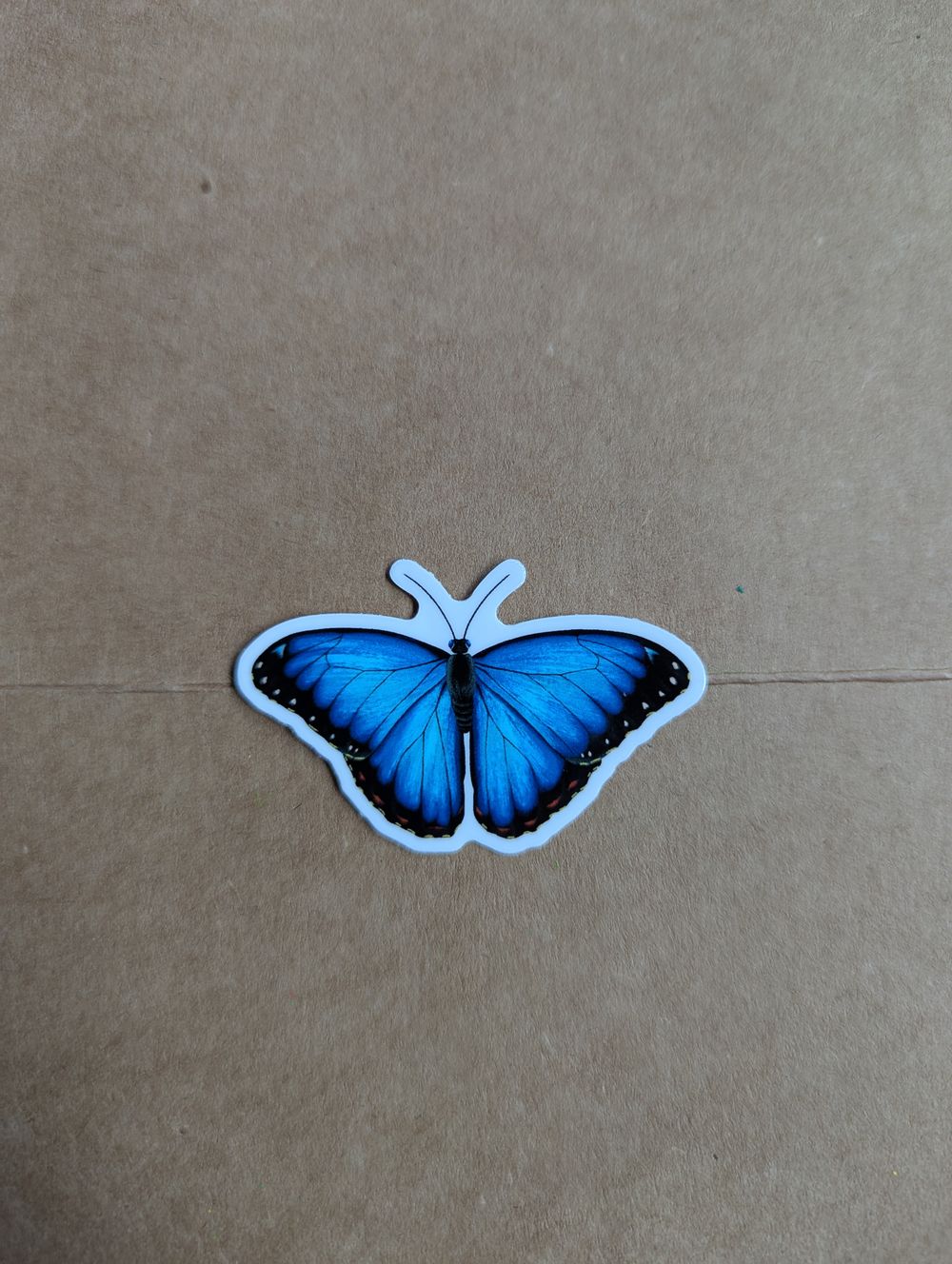 Blue Morpho Butterfly Sticker