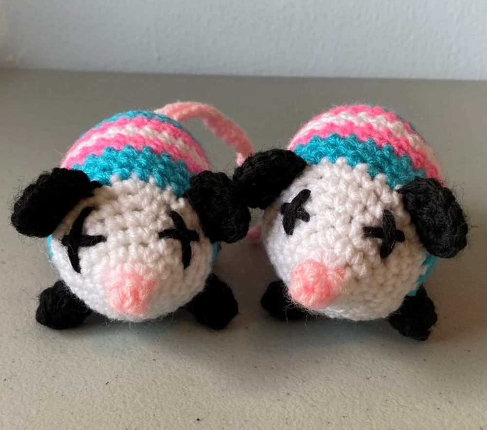 Transgender Opossum 