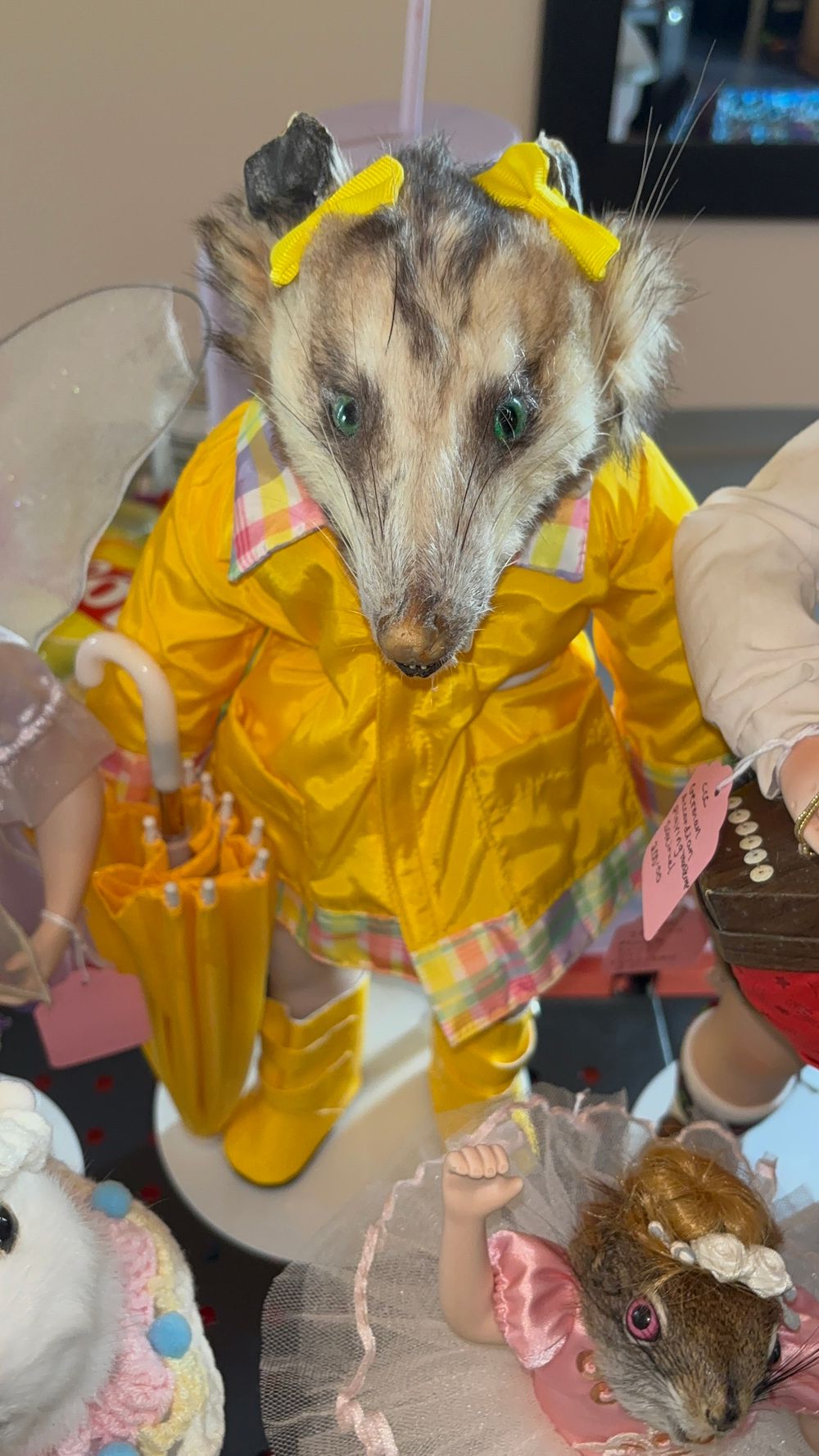 Rainy Day Possum Pal ☔️ 