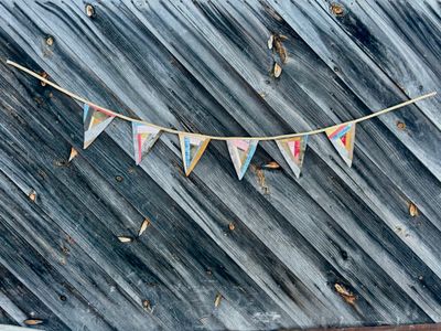 Patchwork Triangular Bunting Pale Orange backing